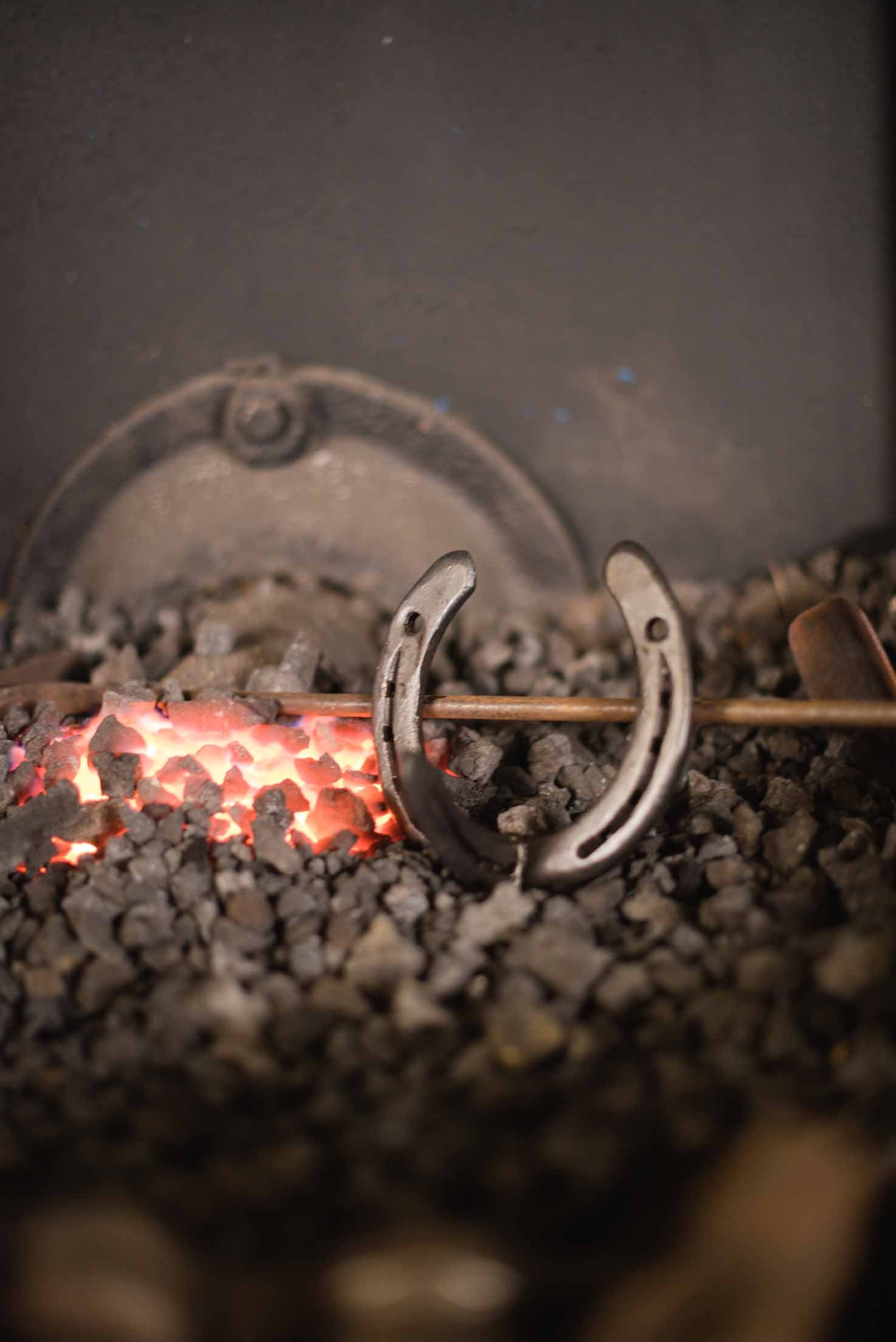 Handcrafted horseshoe bridle hook